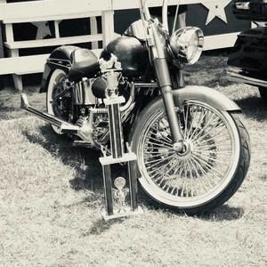 Meet your Posher, Wade